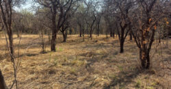 CASA DE DOS DORMITORIOS EN LOS SAUCES