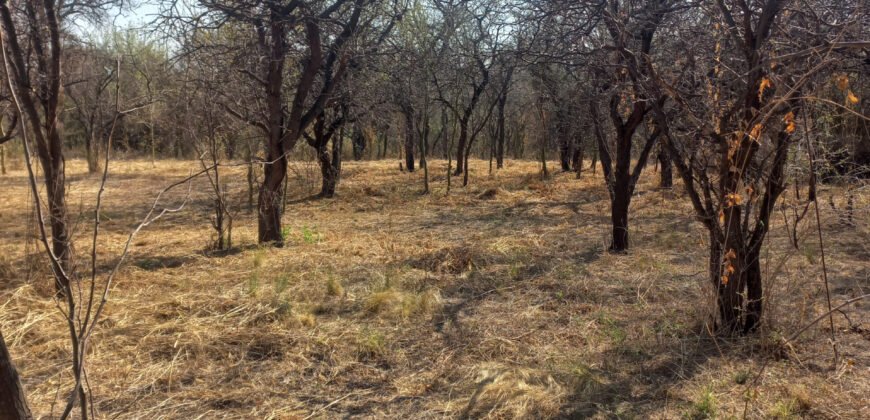 CASA DE DOS DORMITORIOS EN LOS SAUCES