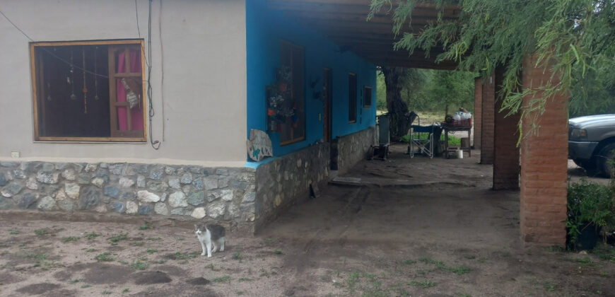 CASONA EN EL SALTO – Terreno de 6000m2