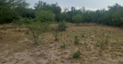 LOTE de 2500m2 EN EL SALTO