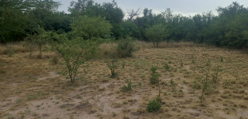 LOTE de 2500m2 EN EL SALTO