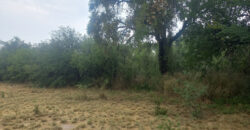 LOTE de 2500m2 EN EL SALTO