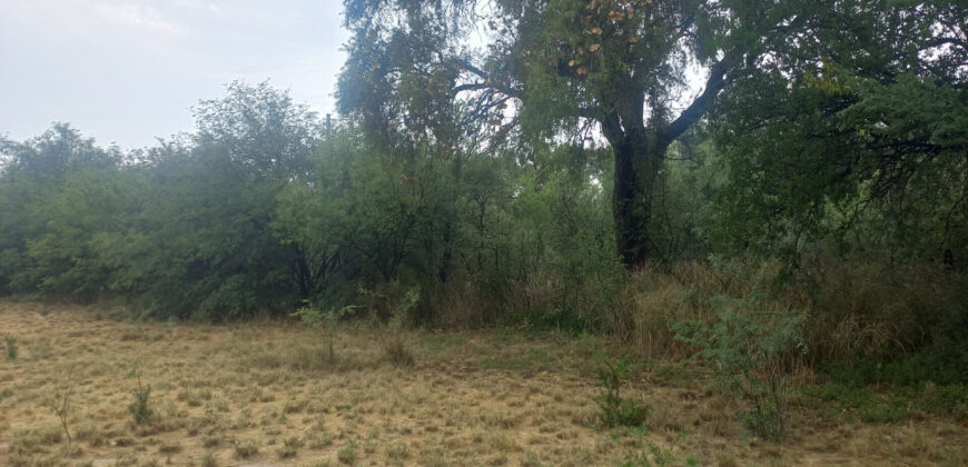 LOTE de 2500m2 EN EL SALTO