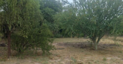 LOTE de 2500m2 EN EL SALTO