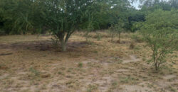 LOTE de 2500m2 EN EL SALTO