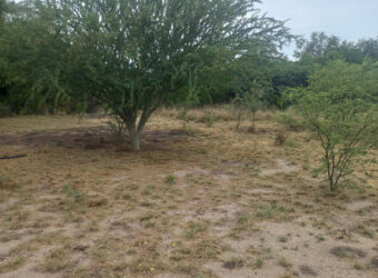 LOTE de 2500m2 EN EL SALTO