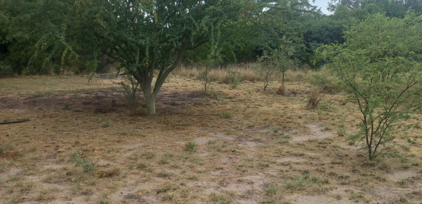 LOTE de 2500m2 EN EL SALTO