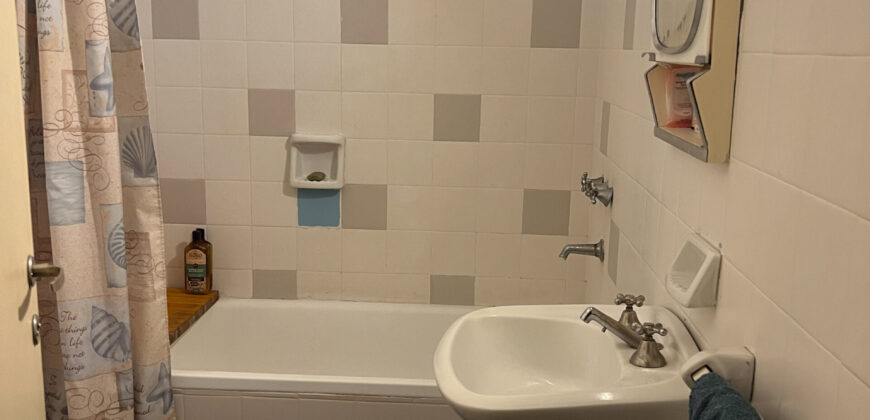 HERMOSA CASA DE TRES DORMITORIOS + DEPARTAMENTO- IDEAL PARA EMPRENDIMIENTO TURISTICO