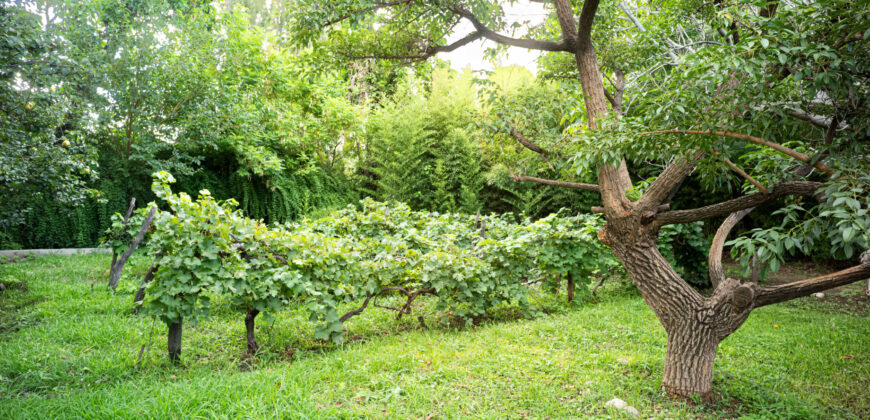 HERMOSA CASA DE TRES DORMITORIOS + DEPARTAMENTO- IDEAL PARA EMPRENDIMIENTO TURISTICO