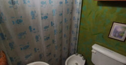 CASA DE UN DORMITORIO CAMINO AL DIQUE CRUZ DEL EJE