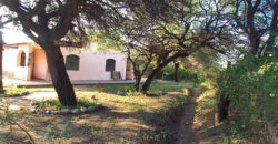 SE VENDE CASA + DOS CABAÑAS – LUGAR TRANQUILO!