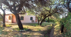 SE VENDE CASA + DOS CABAÑAS – LUGAR TRANQUILO!