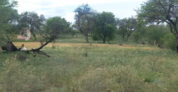 CASA DE UN DORMITORIO CAMINO AL DIQUE CRUZ DEL EJE