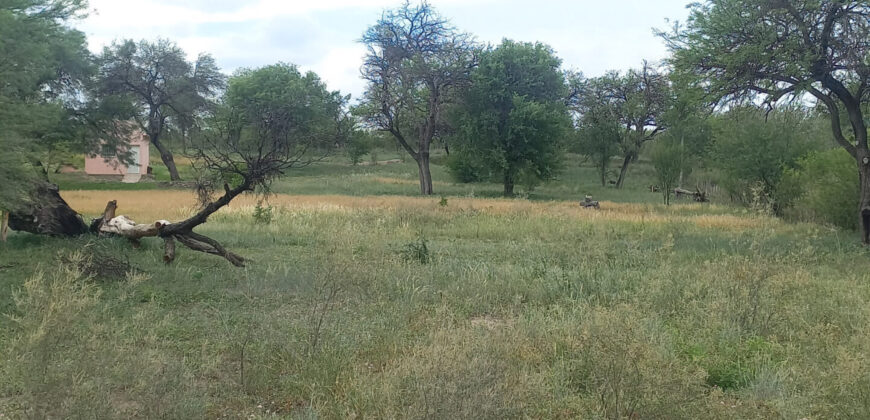 CASA DE UN DORMITORIO CAMINO AL DIQUE CRUZ DEL EJE
