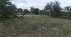 CABAÑA CAMINO AL DIQUE CRUZ DEL EJE- TERRENO 3.300m2