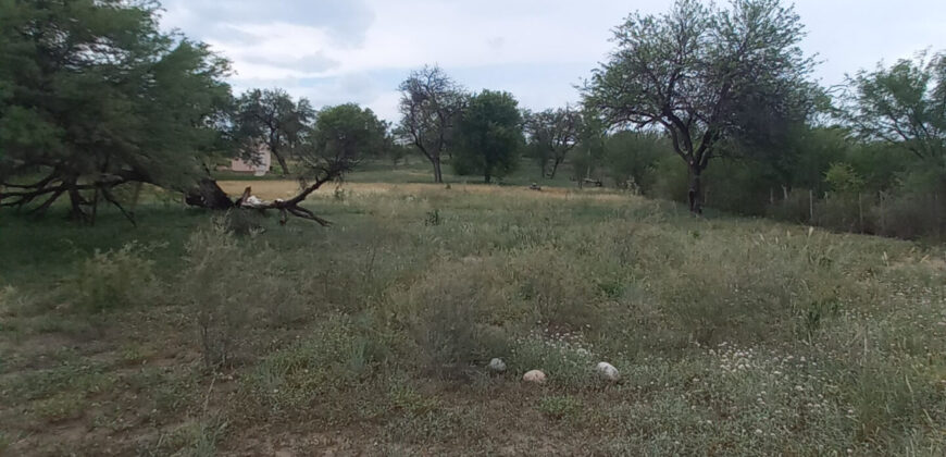 CABAÑA CAMINO AL DIQUE CRUZ DEL EJE- TERRENO 3.300m2