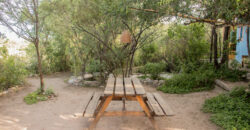 PROYECTO ECOLOGICO EN SAN MARCOS SIERRAS