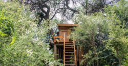 PROYECTO ECOLOGICO EN SAN MARCOS SIERRAS