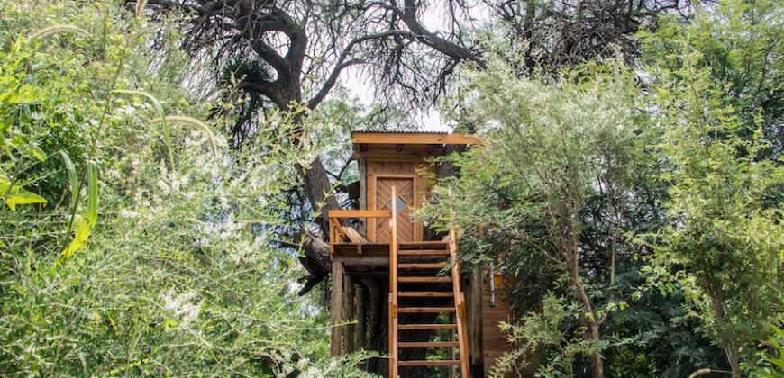 PROYECTO ECOLOGICO EN SAN MARCOS SIERRAS