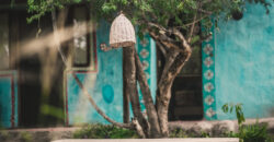 PROYECTO ECOLOGICO EN SAN MARCOS SIERRAS