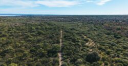 ECOLOTE EN LA RIVERA DE LA ESTANCIA LA SOÑADA-1320m2