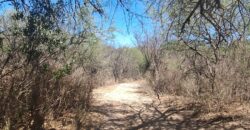 GRAN OPORTUNIDAD. LOTE DE 1000m2 -SOBRE AV. LOS QUEBRACHOS