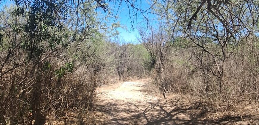 GRAN OPORTUNIDAD. LOTE DE 1000m2 -SOBRE AV. LOS QUEBRACHOS