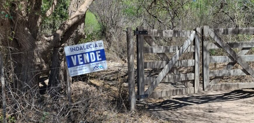 GRAN OPORTUNIDAD. LOTE DE 1000m2 -SOBRE AV. LOS QUEBRACHOS