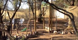 La Casa de Campo – Bioconstrucción y Confort Natural- GRAN OPORTUNIDAD!