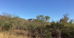 La Casa de Campo – Bioconstrucción y Confort Natural- GRAN OPORTUNIDAD!