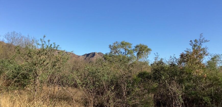 La Casa de Campo – Bioconstrucción y Confort Natural- GRAN OPORTUNIDAD!