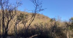 La Casa de Campo – Bioconstrucción y Confort Natural- GRAN OPORTUNIDAD!