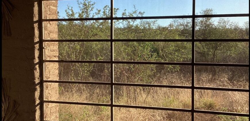 La Casa de Campo – Bioconstrucción y Confort Natural- GRAN OPORTUNIDAD!