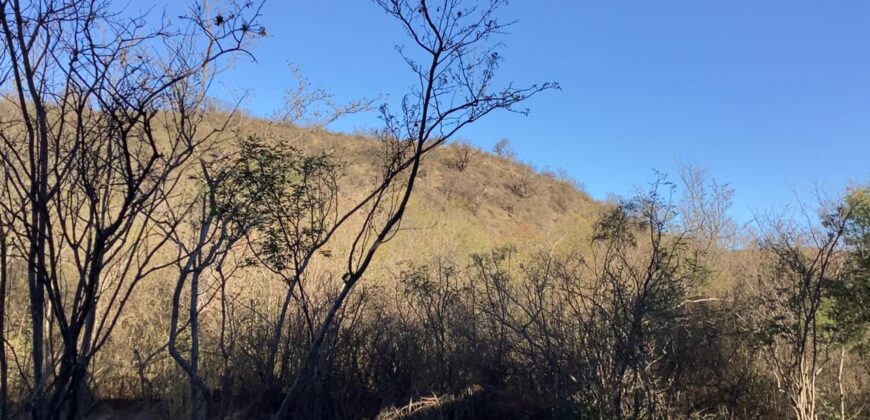 La Casa de Campo – Bioconstrucción y Confort Natural- GRAN OPORTUNIDAD!