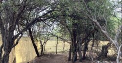 La Casa de Campo – Bioconstrucción y Confort Natural- GRAN OPORTUNIDAD!