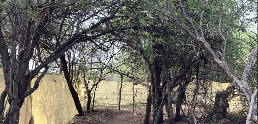 La Casa de Campo – Bioconstrucción y Confort Natural- GRAN OPORTUNIDAD!