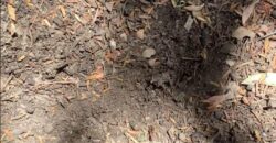 La Casa de Campo – Bioconstrucción y Confort Natural- GRAN OPORTUNIDAD!