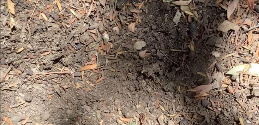 La Casa de Campo – Bioconstrucción y Confort Natural- GRAN OPORTUNIDAD!