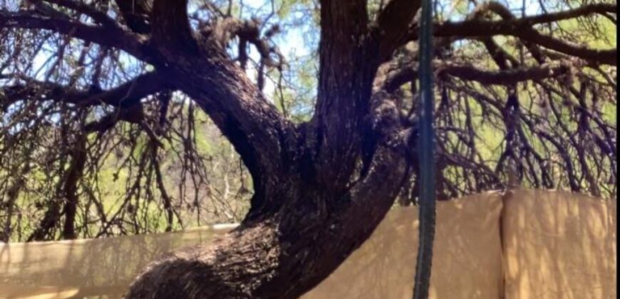 La Casa de Campo – Bioconstrucción y Confort Natural- GRAN OPORTUNIDAD!