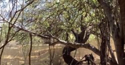 La Casa de Campo – Bioconstrucción y Confort Natural- GRAN OPORTUNIDAD!