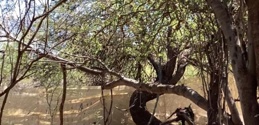 La Casa de Campo – Bioconstrucción y Confort Natural- GRAN OPORTUNIDAD!