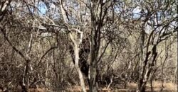 La Casa de Campo – Bioconstrucción y Confort Natural- GRAN OPORTUNIDAD!