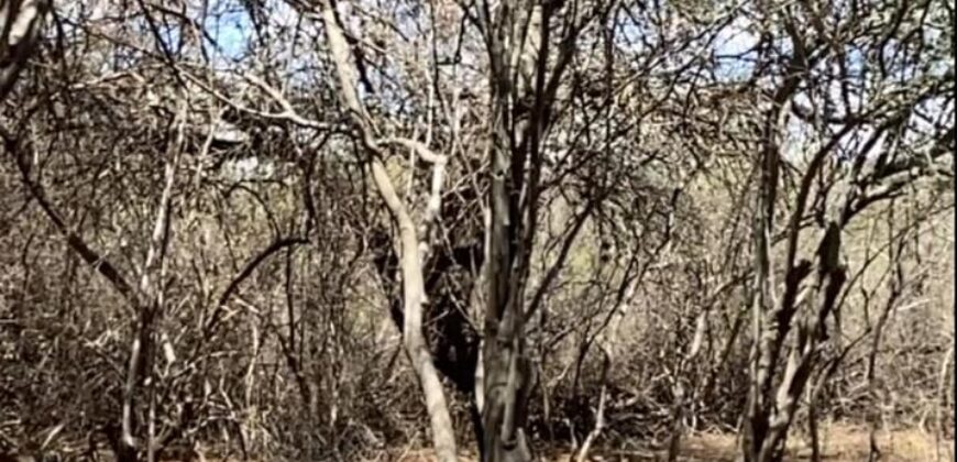 La Casa de Campo – Bioconstrucción y Confort Natural- GRAN OPORTUNIDAD!