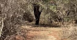 La Casa de Campo – Bioconstrucción y Confort Natural- GRAN OPORTUNIDAD!