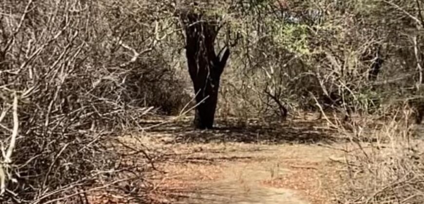 La Casa de Campo – Bioconstrucción y Confort Natural- GRAN OPORTUNIDAD!