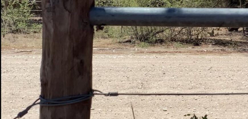 La Casa de Campo – Bioconstrucción y Confort Natural- GRAN OPORTUNIDAD!