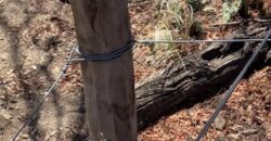 La Casa de Campo – Bioconstrucción y Confort Natural- GRAN OPORTUNIDAD!