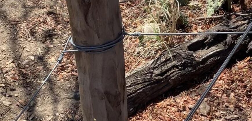 La Casa de Campo – Bioconstrucción y Confort Natural- GRAN OPORTUNIDAD!