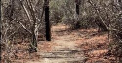 La Casa de Campo – Bioconstrucción y Confort Natural- GRAN OPORTUNIDAD!