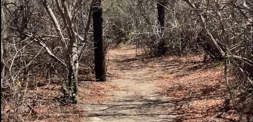 La Casa de Campo – Bioconstrucción y Confort Natural- GRAN OPORTUNIDAD!